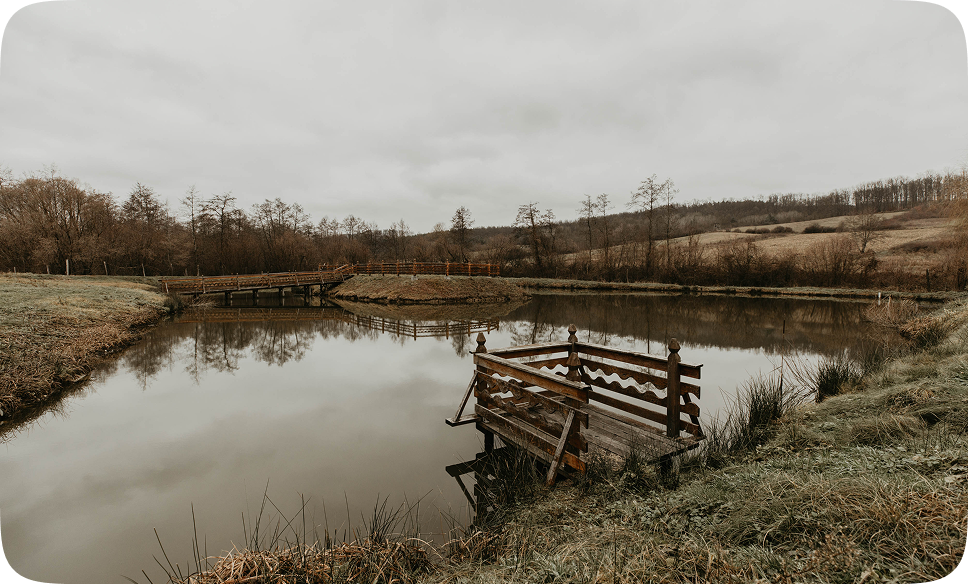 Bridge to pontoon